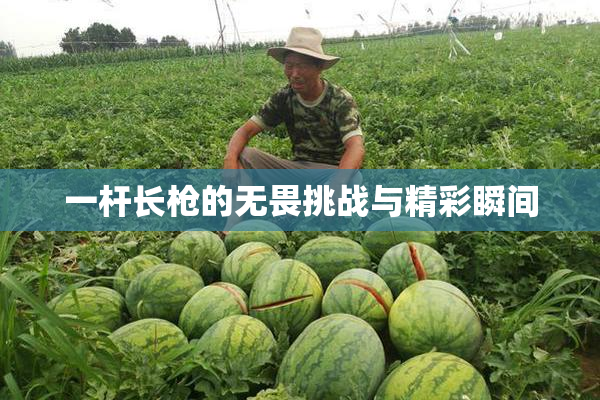 一杆长枪的无畏挑战与精彩瞬间
