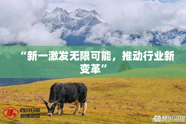 “新一激发无限可能，推动行业新变革”
