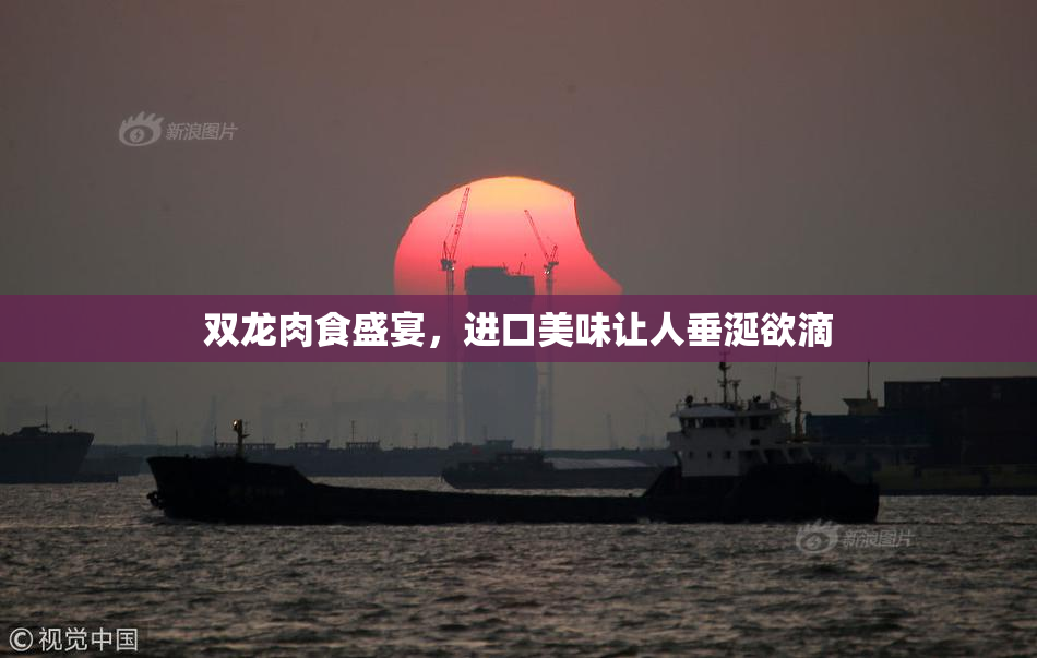 双龙肉食盛宴，进口美味让人垂涎欲滴
