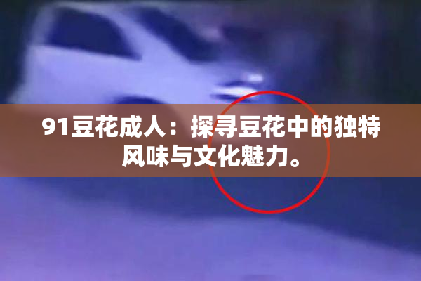 91豆花成人：探寻豆花中的独特风味与文化魅力。
