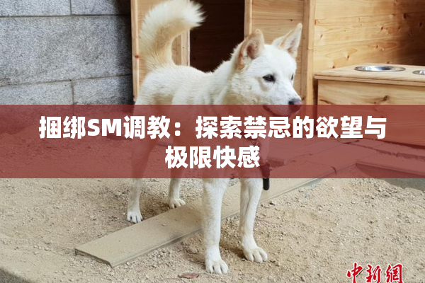 捆绑SM调教：探索禁忌的欲望与极限快感