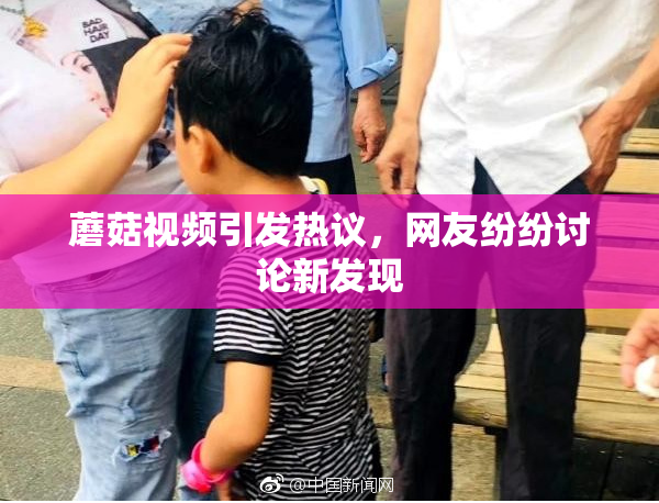 蘑菇视频引发热议，网友纷纷讨论新发现
