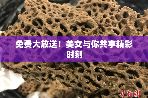 免费大放送！美女与你共享精彩时刻