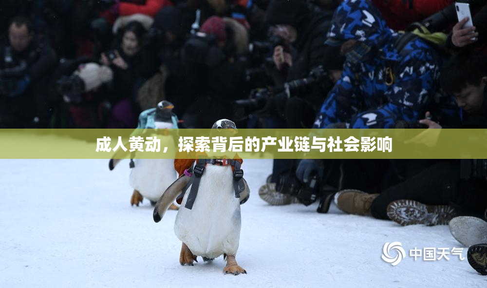 成人黄动，探索背后的产业链与社会影响