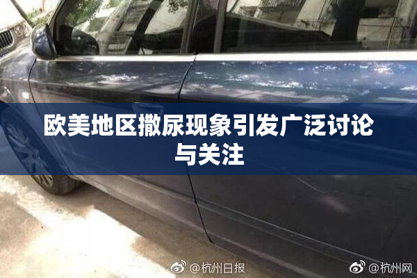 欧美地区撒尿现象引发广泛讨论与关注