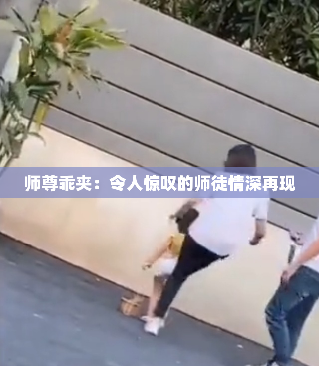 师尊乖夹：令人惊叹的师徒情深再现