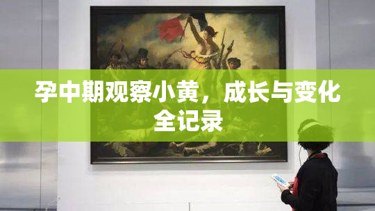 孕中期观察小黄，成长与变化全记录