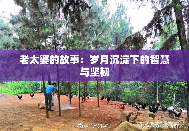 老太婆的故事：岁月沉淀下的智慧与坚韧