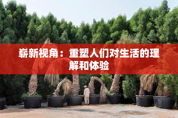 崭新视角：重塑人们对生活的理解和体验