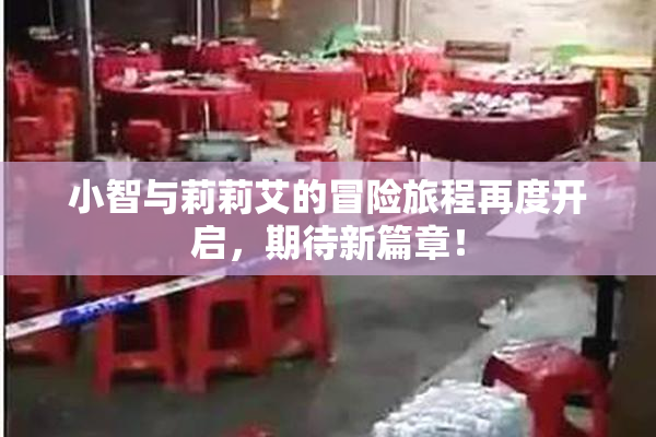 小智与莉莉艾的冒险旅程再度开启，期待新篇章！
