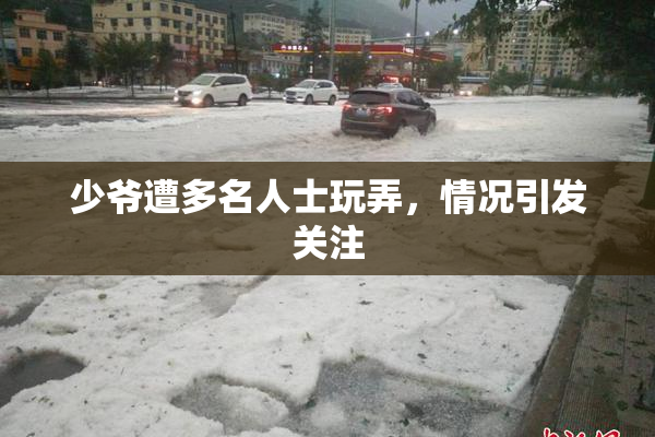 少爷遭多名人士玩弄，情况引发关注