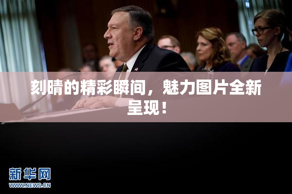 刻晴的精彩瞬间，魅力图片全新呈现！