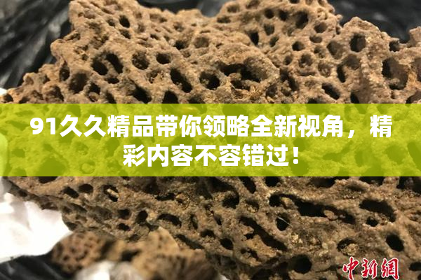 91久久精品带你领略全新视角，精彩内容不容错过！