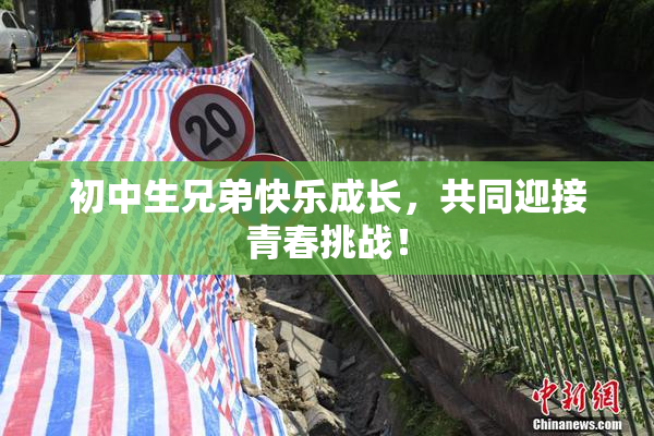 初中生兄弟快乐成长，共同迎接青春挑战！