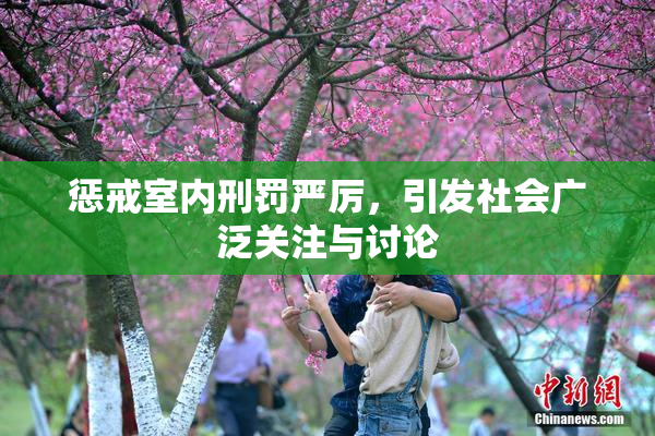 惩戒室内刑罚严厉，引发社会广泛关注与讨论