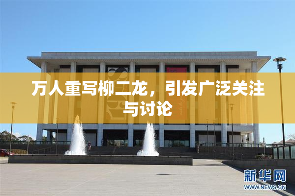 万人重写柳二龙，引发广泛关注与讨论