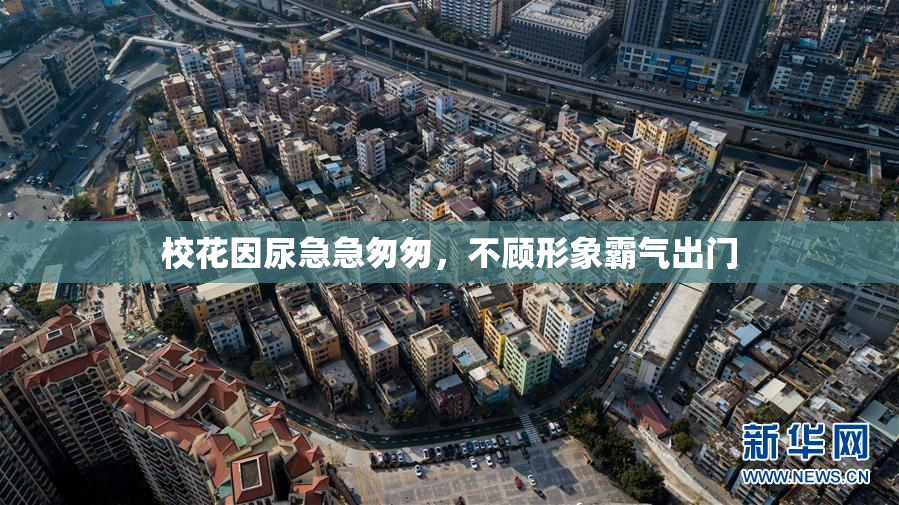 校花因尿急急匆匆，不顾形象霸气出门
