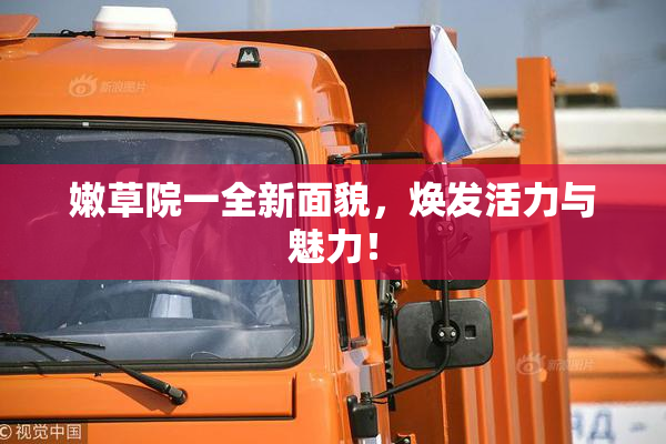 嫩草院一全新面貌，焕发活力与魅力！