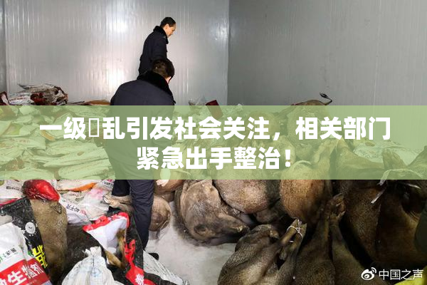 一级婬乱引发社会关注，相关部门紧急出手整治！