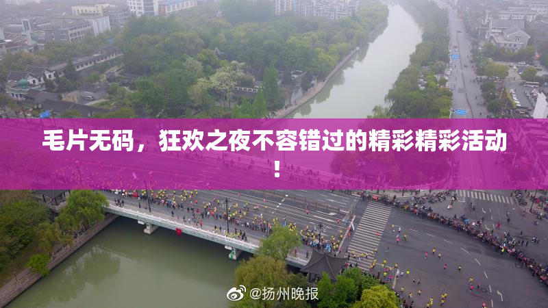 毛片无码，狂欢之夜不容错过的精彩精彩活动！