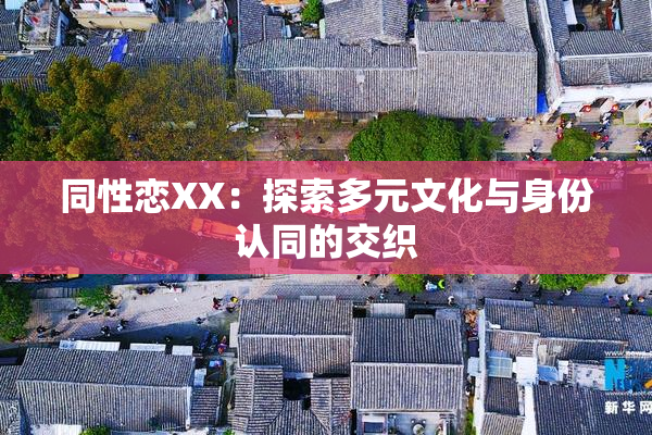 同性恋XX：探索多元文化与身份认同的交织