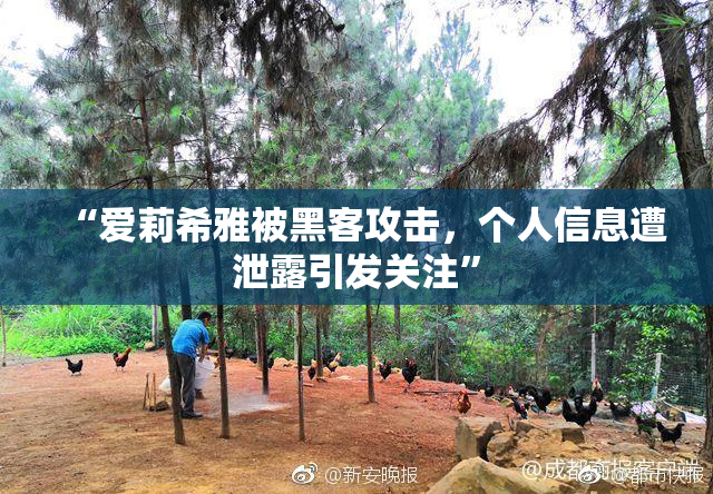 “爱莉希雅被黑客攻击，个人信息遭泄露引发关注”