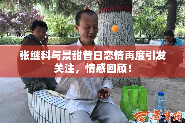 张继科与景甜昔日恋情再度引发关注，情感回顾！
