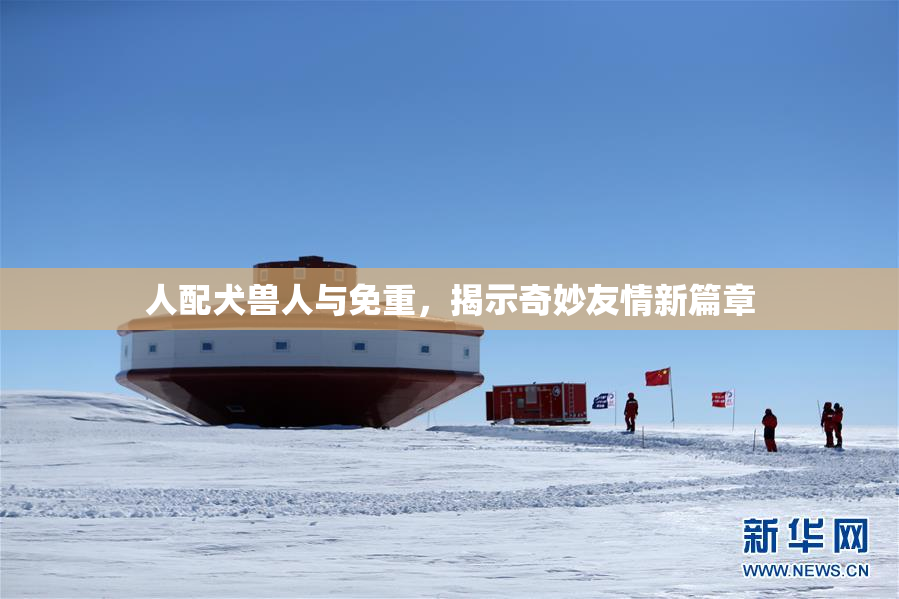 人配犬兽人与免重，揭示奇妙友情新篇章