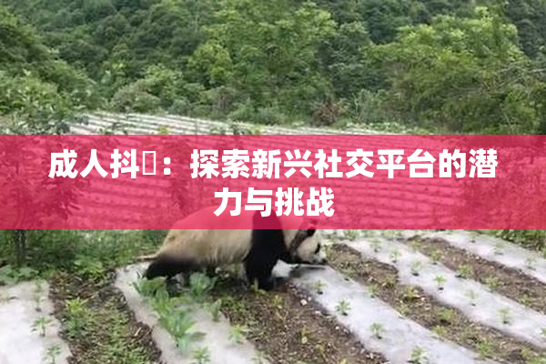 成人抖抈：探索新兴社交平台的潜力与挑战