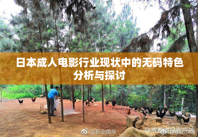 日本成人电影行业现状中的无码特色分析与探讨