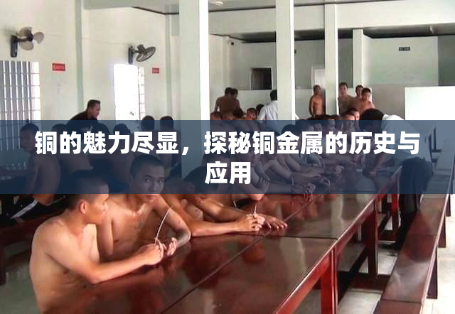 铜的魅力尽显，探秘铜金属的历史与应用