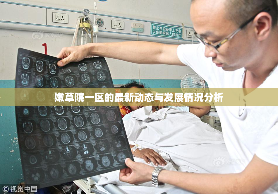 嫩草院一区的最新动态与发展情况分析