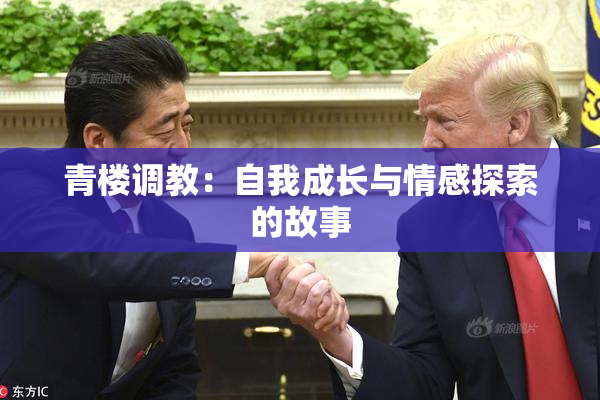 青楼调教：自我成长与情感探索的故事