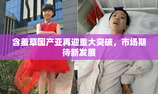 含羞草国产亚再迎重大突破，市场期待新发展