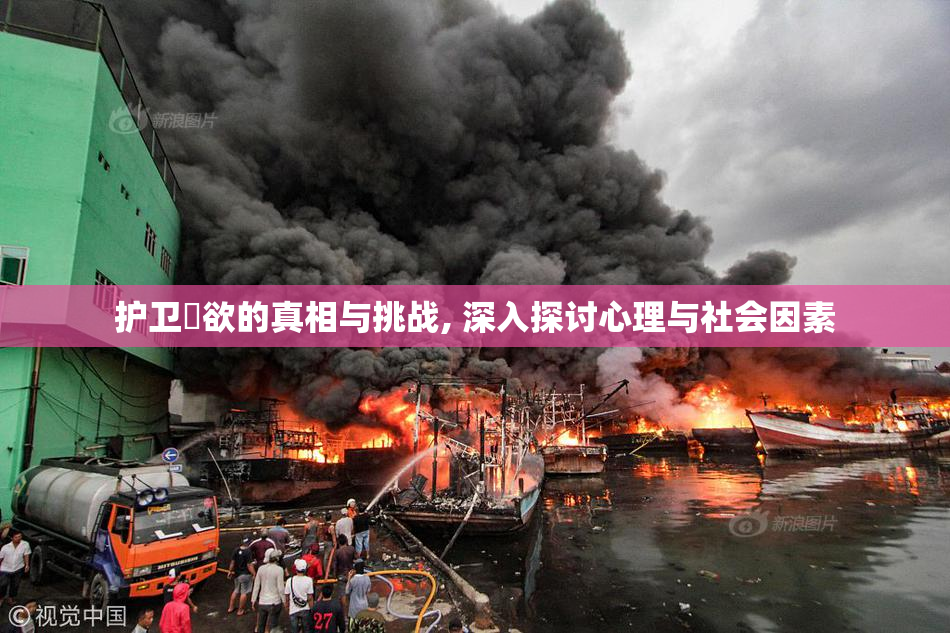 护卫婬欲的真相与挑战, 深入探讨心理与社会因素