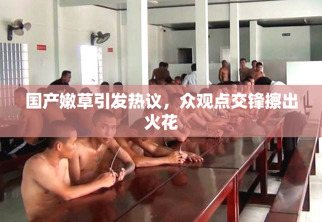 国产嫩草引发热议，众观点交锋擦出火花
