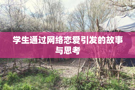学生通过网络恋爱引发的故事与思考