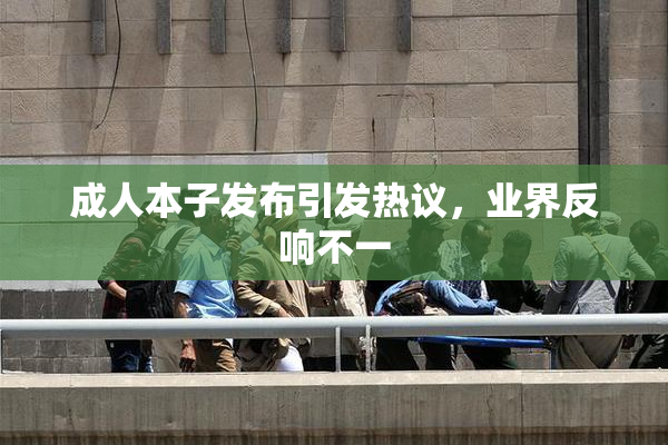 成人本子发布引发热议，业界反响不一