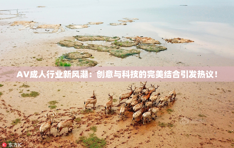 AV成人行业新风潮：创意与科技的完美结合引发热议！
