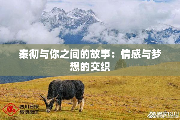 秦彻与你之间的故事：情感与梦想的交织
