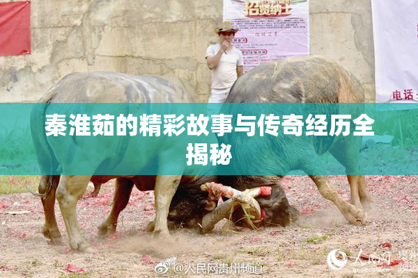 秦淮茹的精彩故事与传奇经历全揭秘