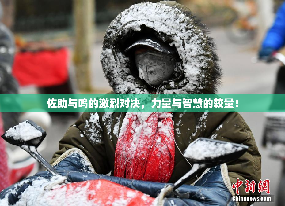 佐助与鸣的激烈对决，力量与智慧的较量！