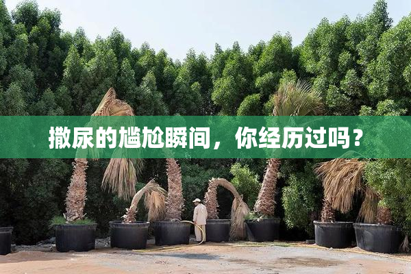 撒尿的尴尬瞬间，你经历过吗？