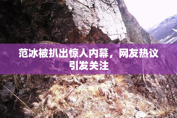范冰被扒出惊人内幕，网友热议引发关注