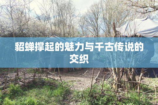 貂蝉撑起的魅力与千古传说的交织