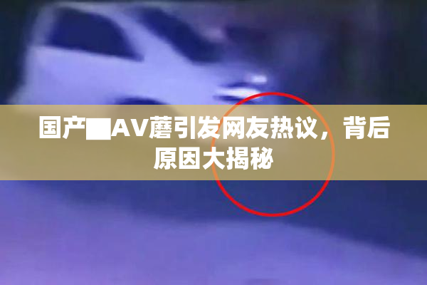 国产▇AV蘑引发网友热议，背后原因大揭秘