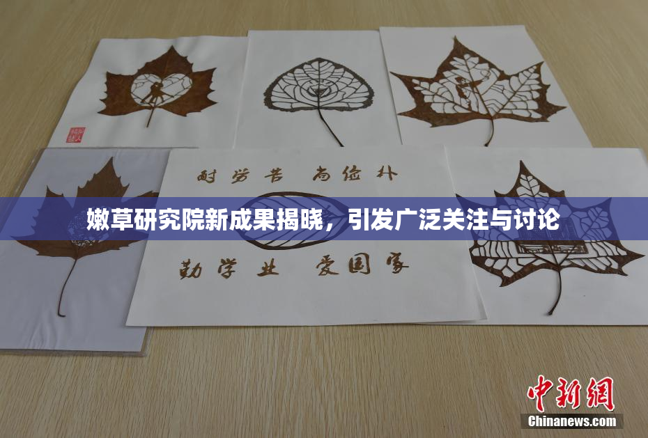 嫩草研究院新成果揭晓，引发广泛关注与讨论