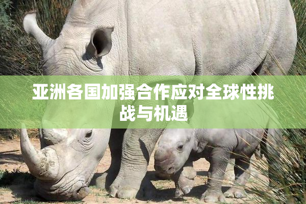 亚洲各国加强合作应对全球性挑战与机遇