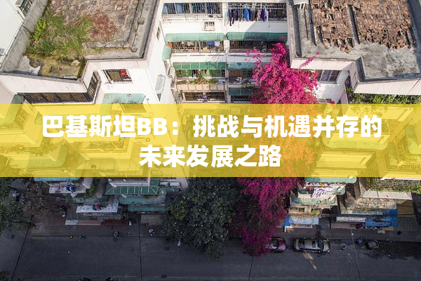 巴基斯坦BB：挑战与机遇并存的未来发展之路