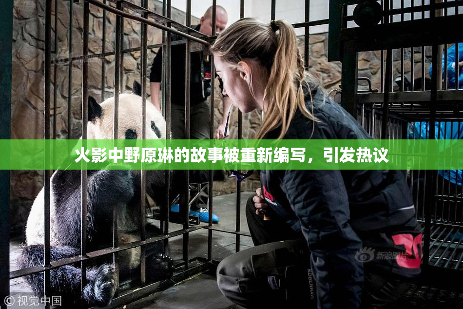 火影中野原琳的故事被重新编写，引发热议